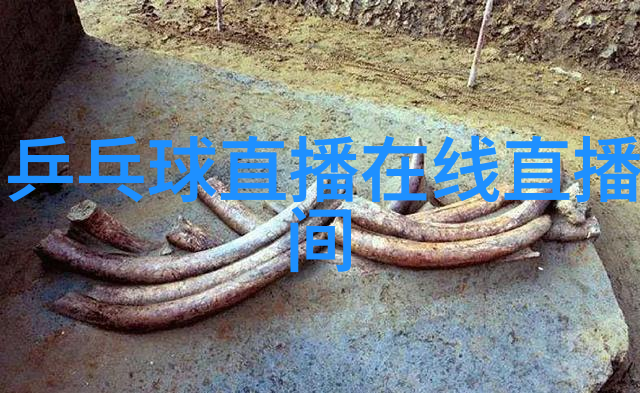 在海边的码头钓鱼是钓底还是钓浮好