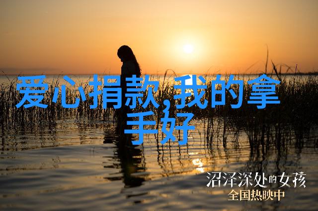丸九钓鲢鳙饵料配方红色丸子鱼饵怎么用
