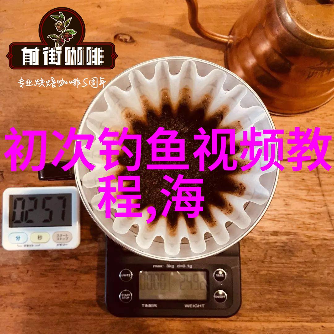 卡麦制作方法钓鲤鱼