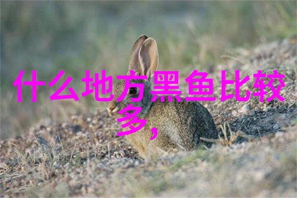 伏天怎么钓鲢鳙新手也能快速出鱼