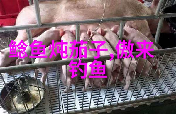 春季钓鲤鱼诀窍选向阳湾 用腥香饵