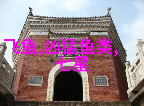 在青海这个季节用什么饵料鲤鱼的
