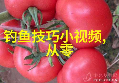 什么渔杆叫矶钓杆