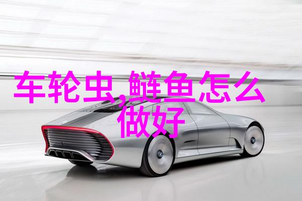 天下无双鲢鳙钓饵