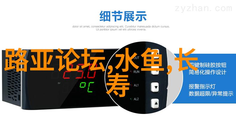 三合一鲤鱼饵怎么用
